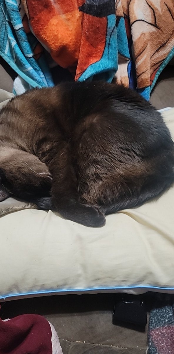 bchaisson19's tweet image. Love -LOVE this girl!!!