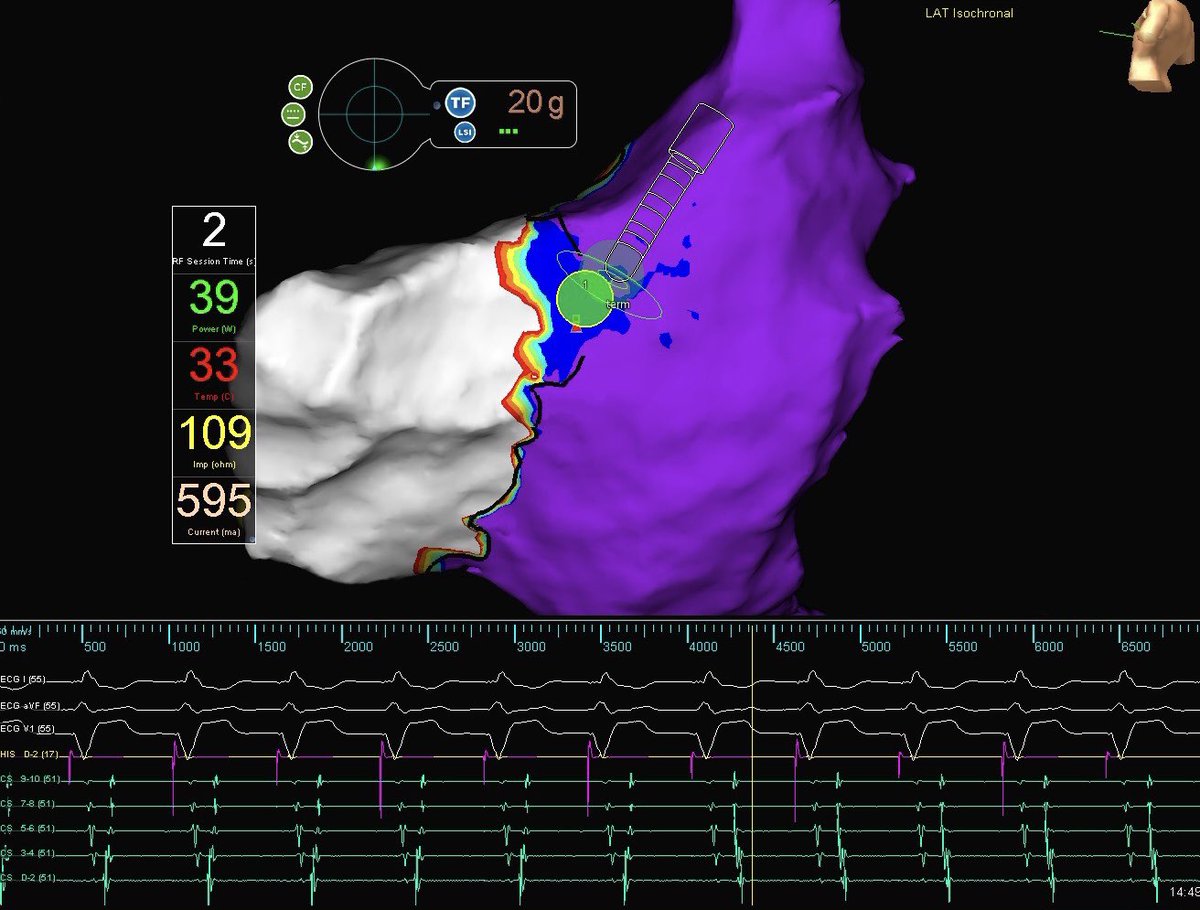 Sheila Pressley tweet media