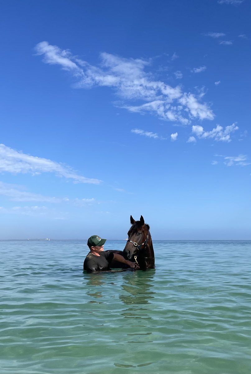 Me and my mate Metallon ☀️🌊 #harveyracing