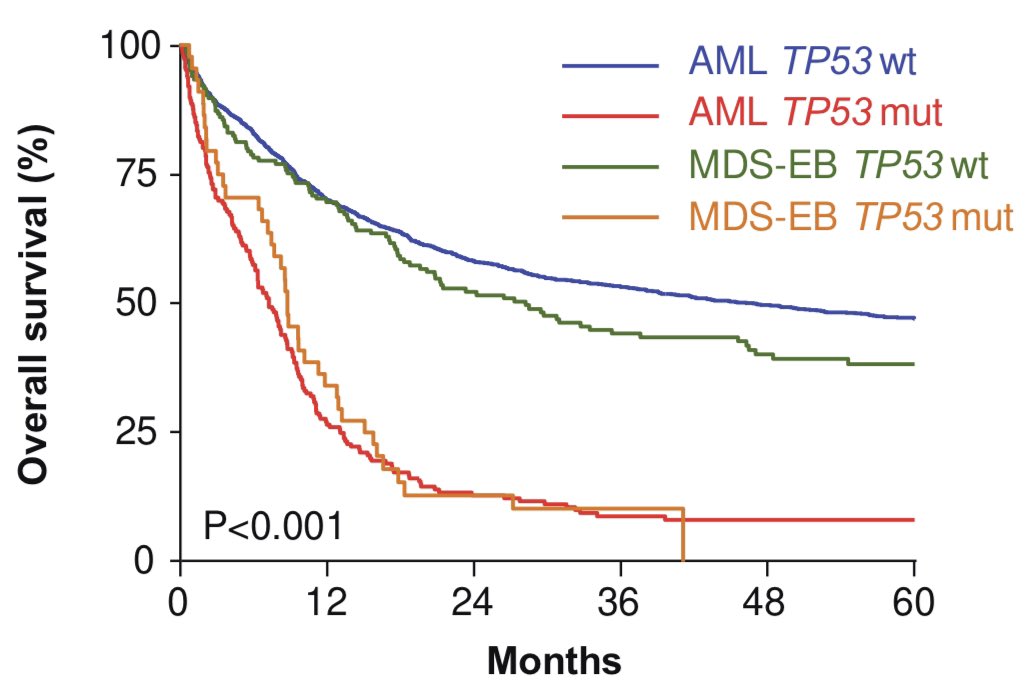 Mutant TP53 AML and MDS-EB are molecularly and clinically indistinguishable 🧬💡ashpublications.org/blood/article/…