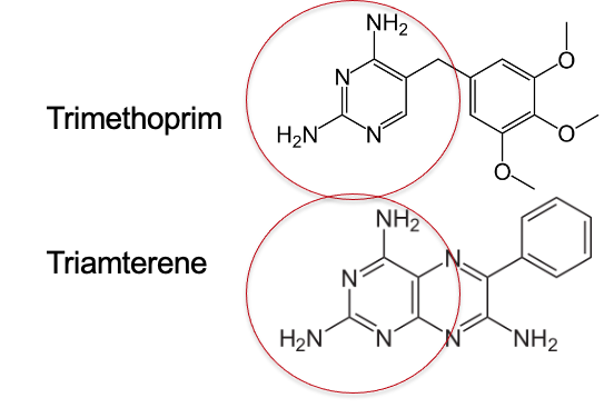 Zaven Sargsyan tweet media