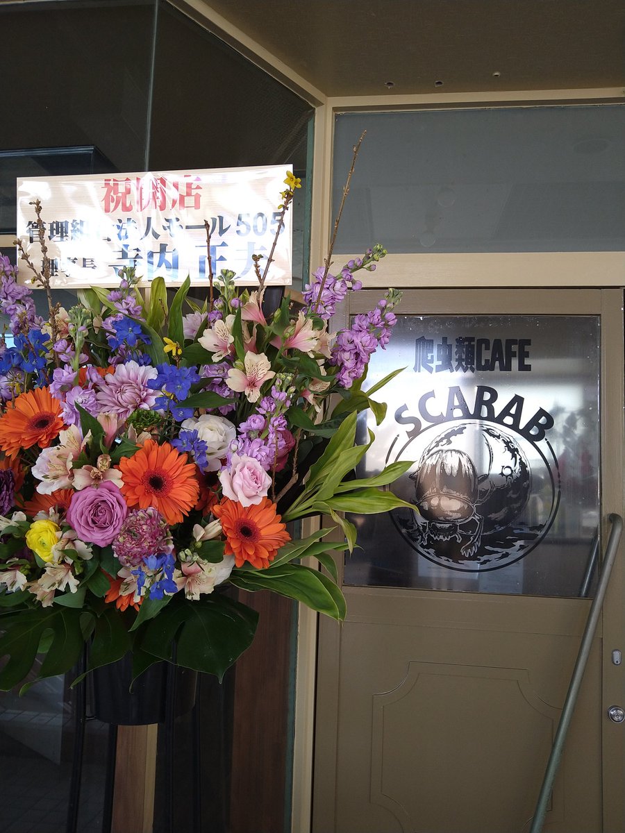 RepCAFE_SCARAB's tweet photo. ただいま、開店いたしました!!✨
よろしくお願いいたします🙇

#爬虫類カフェ
#スカラベ　
#SCARAB https://t.co/wnU8GERZXD