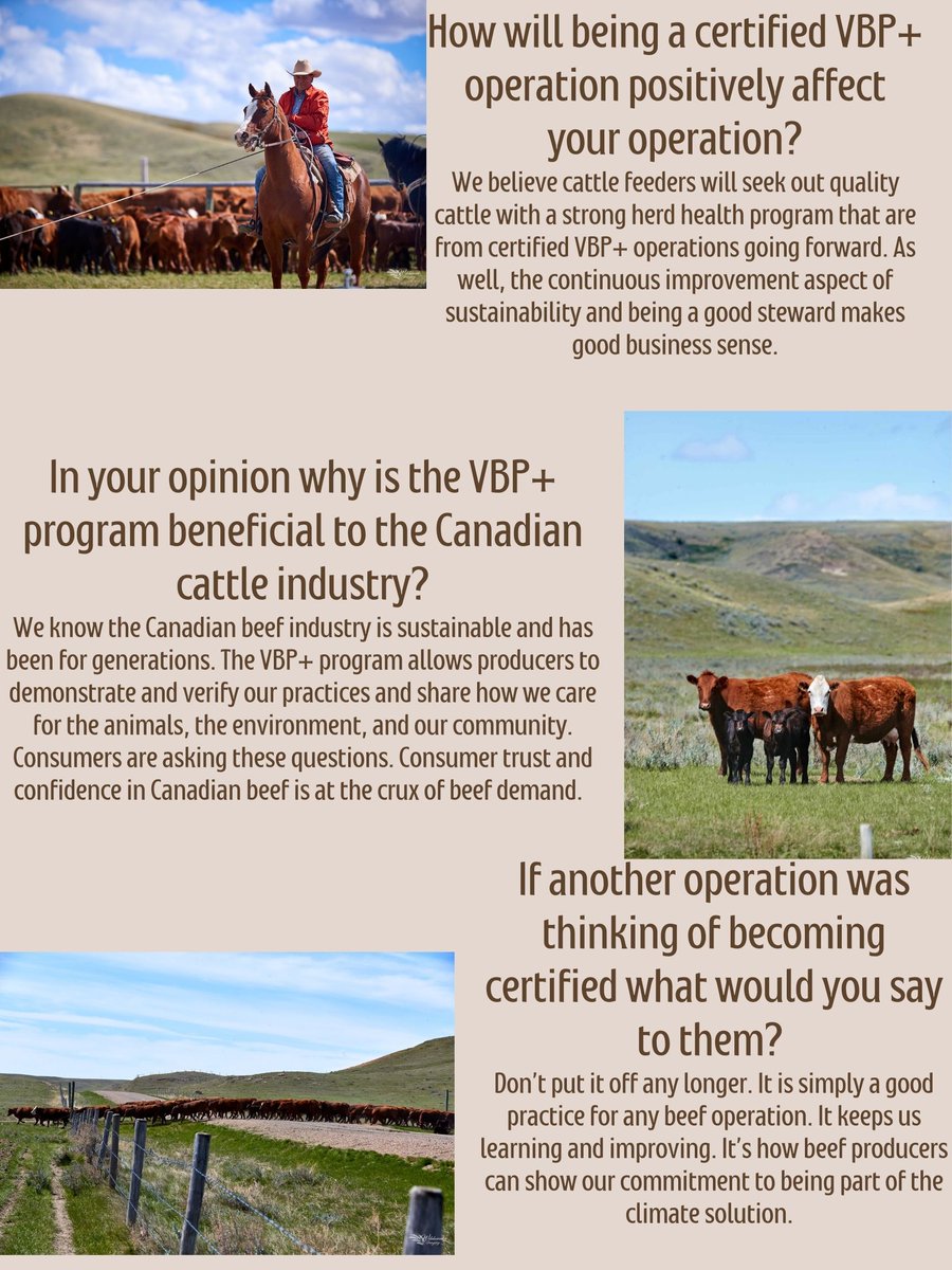 SASK VBP tweet media