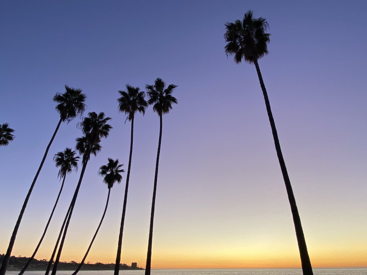 Brie_Erdman's tweet photo. Trip to La Jolla before heading back to Pa! Absolutely amazing! https://t.co/QQHoVDjAcs
