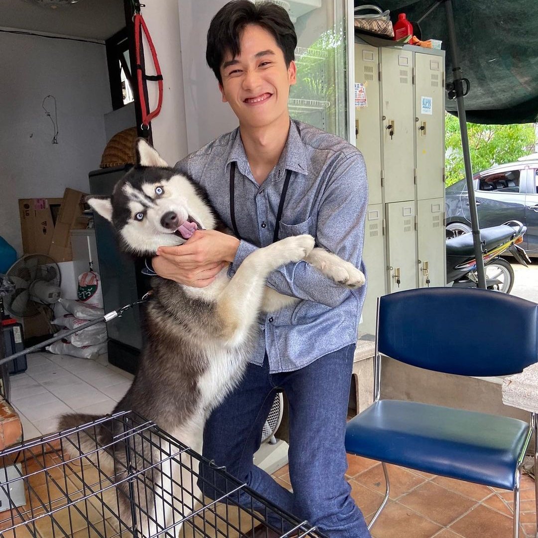 miwmintyy's tweet photo. 5555555🤣 @Tawan_V
#Tawan_V https://t.co/HgGnZFQY2r