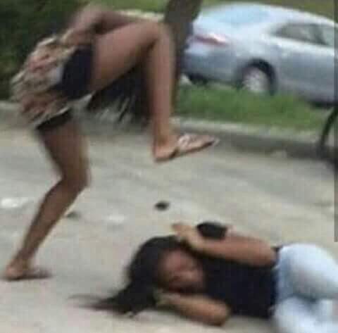 the leafs: 🧍
the flames: