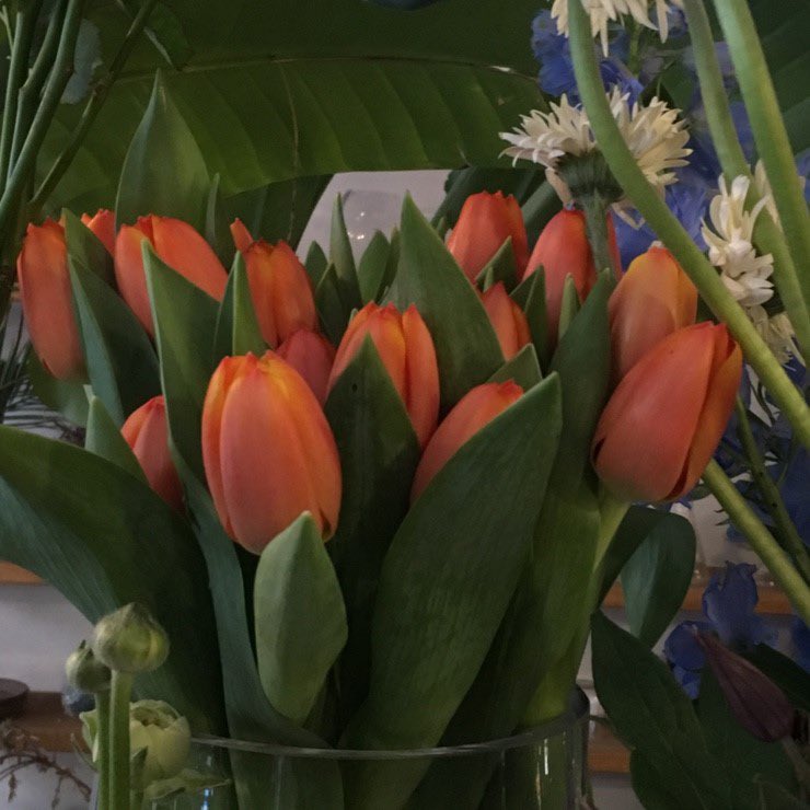 벌써 봄이 온 것 같애… ♡