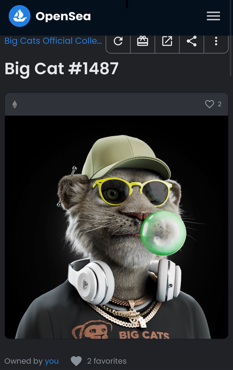 Dylansain4's tweet photo. Yo check it out @bigcats_nft just did their reveal😛😛 go check out mine!! https://t.co/Bpodx1uXfe
