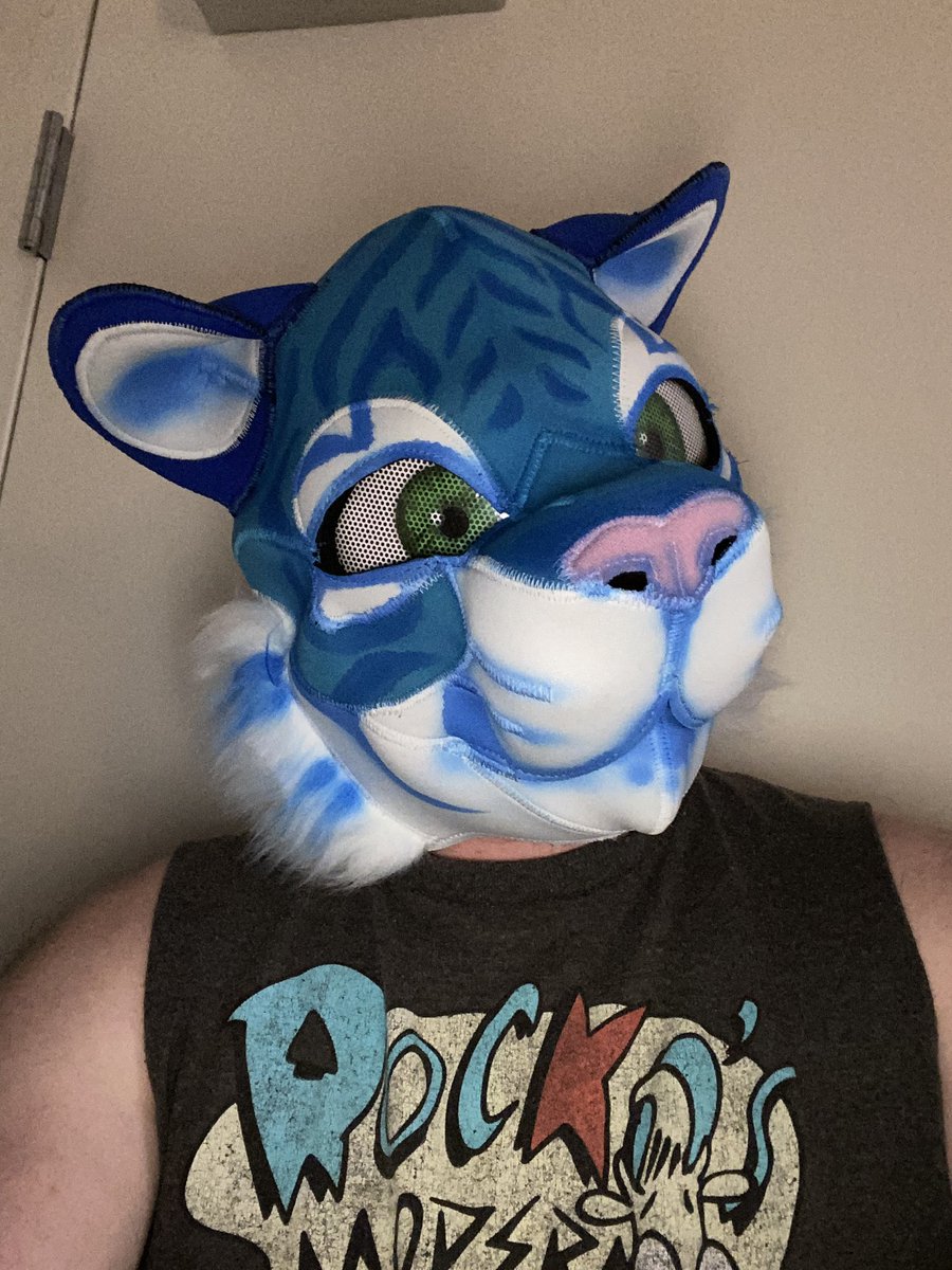 WildPetPlay's tweet photo. Rawr! 🐯 https://t.co/CWqa1wZU30