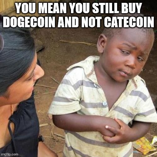 cate_bae's tweet photo. #catecoin is the no brainer winner 🚀 this 2022 Year of the Tiger 😼 #CateArmy #CatecoinArmy https://t.co/hullXl0UfK