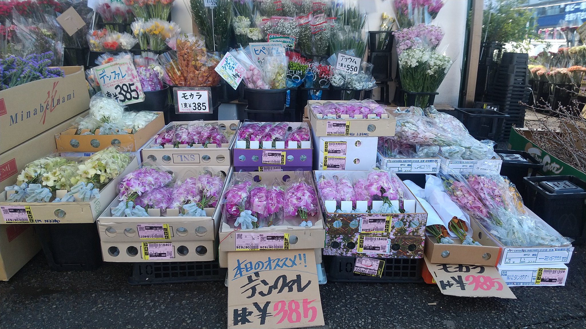 ワールドフラワー 本店 梶が谷店 Wordflower 246 Twitter