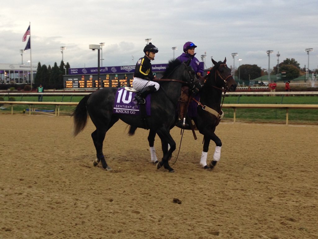 NRussoRacing's tweet photo. Well, it IS #TBT. Horse of the Year Knicks Go through the years: #BC18 at Churchill before running second in the Juvenile; fall 2019 at #Keeneland; #BC20 at Keeneland before winning the dirt mile; and last summer at #Saratoga before winning the Whitney. https://t.co/ZYwuVylYE8