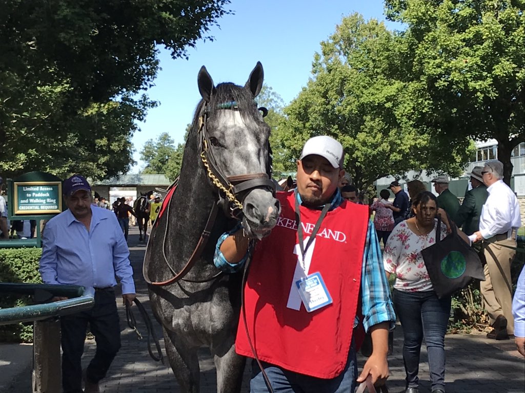 NRussoRacing's tweet photo. Well, it IS #TBT. Horse of the Year Knicks Go through the years: #BC18 at Churchill before running second in the Juvenile; fall 2019 at #Keeneland; #BC20 at Keeneland before winning the dirt mile; and last summer at #Saratoga before winning the Whitney. https://t.co/ZYwuVylYE8