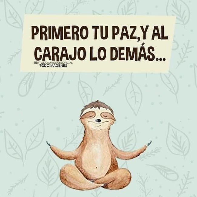Mujer de libros tweet media