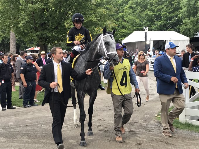 NRussoRacing's tweet photo. Well, it IS #TBT. Horse of the Year Knicks Go through the years: #BC18 at Churchill before running second in the Juvenile; fall 2019 at #Keeneland; #BC20 at Keeneland before winning the dirt mile; and last summer at #Saratoga before winning the Whitney. https://t.co/ZYwuVylYE8