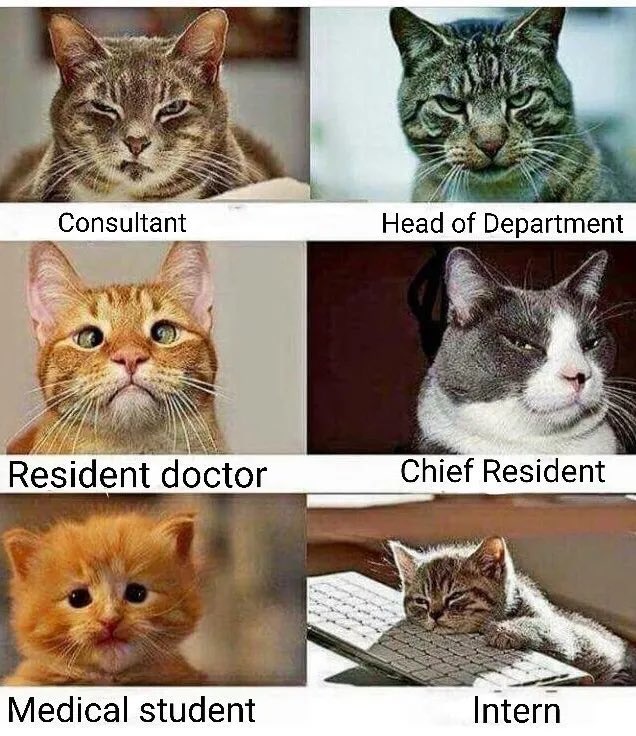 HeatherKosickGI's tweet photo. A shoutout to all my coresidents - Happy resident appreciation week!! This year has been extra tough for all.. Let’s turn ‘awareness’ into appreciation! ❤️ #ResidentDoctorsAppreciation2022 @uoftmedicine @ResidentDoctors https://t.co/jfkN0yYs85