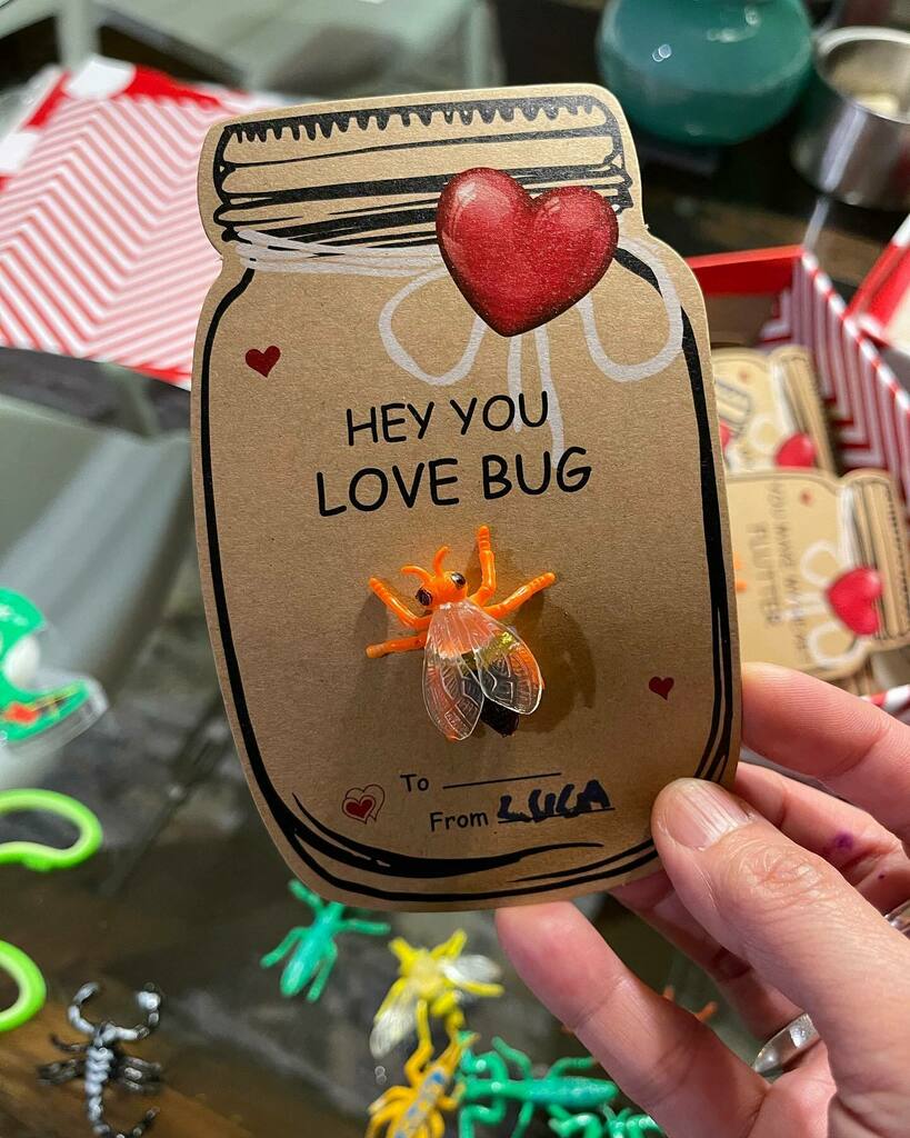 paulaguinto's tweet image. We are ready for this boy’s Valentine’s Day class activity. These 🐛 🐜 🐞 are the best. I put away the cockroaches 🪳 because 🤢. #whereisluca #bugsandkisses #ignoremylopsidedheart #love instagr.am/p/CZ0jopvufP9/