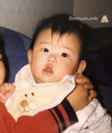 im crying so hard right now