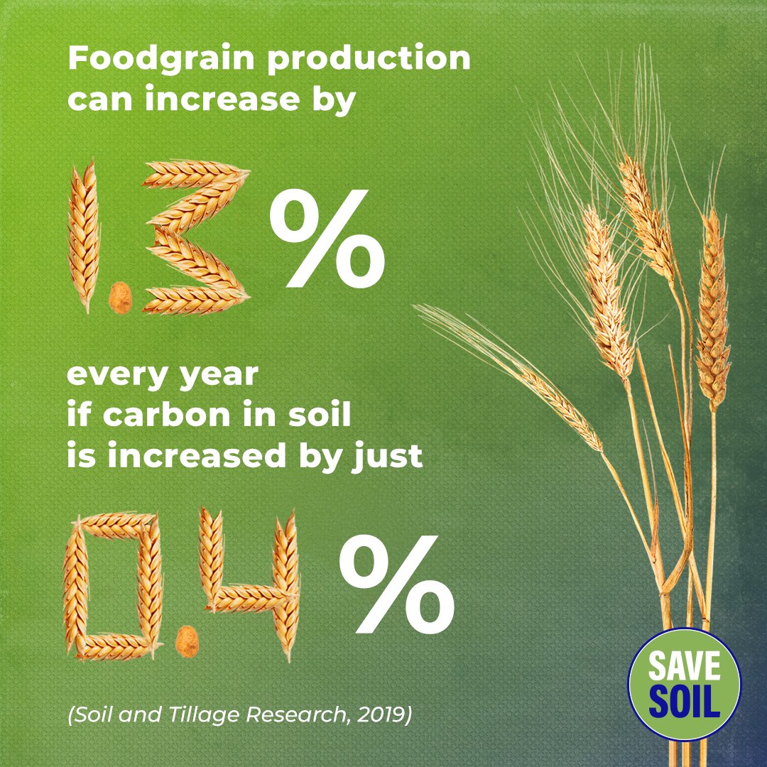 Conscious Planet #SaveSoil tweet media