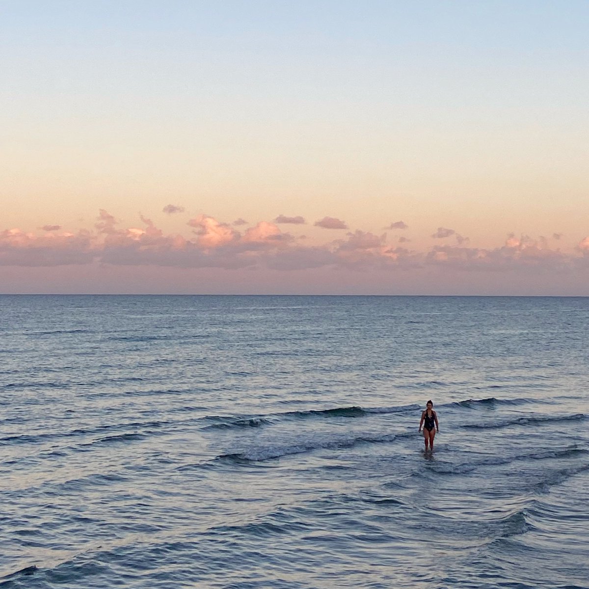 Friday morning’s  openwater swim magic 💕