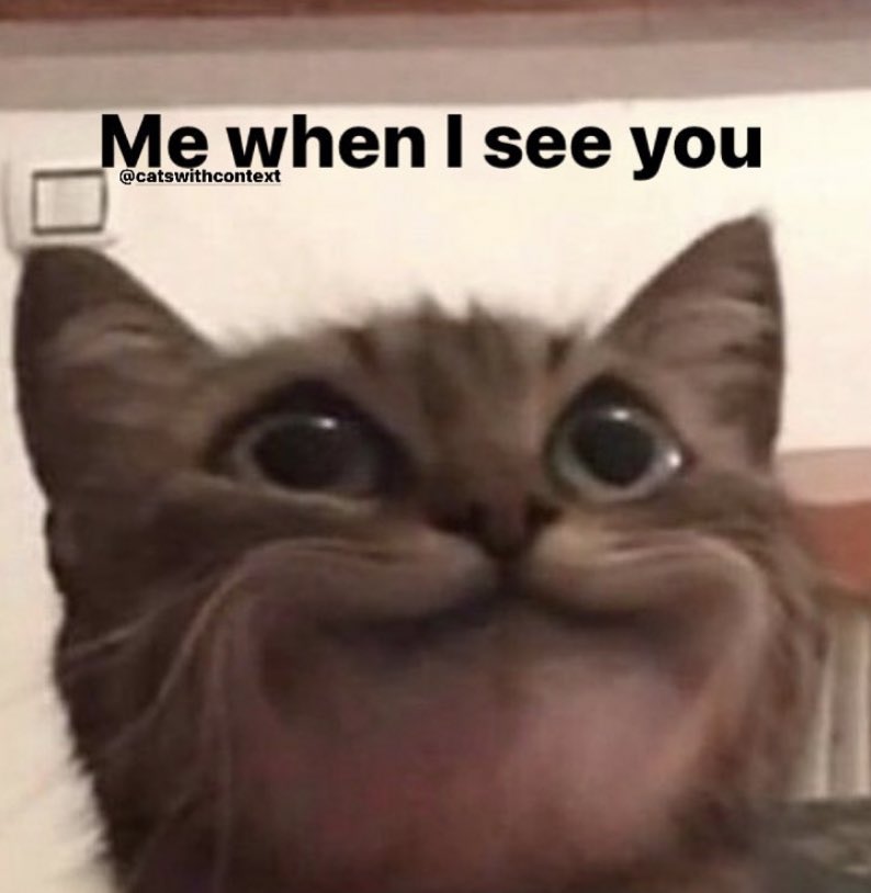 not cute & kinky memes (@cravedcuddle) on Twitter photo 