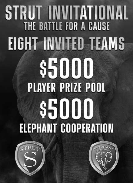 STRUT esports tweet media