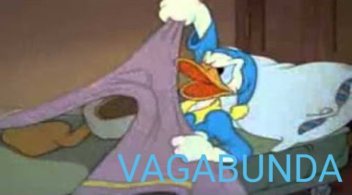 DONACLEIDII's tweet photo. brasileiro indo dormir hoje depois de assistir o bbb #BBB22 https://t.co/8PgxXkL2M3