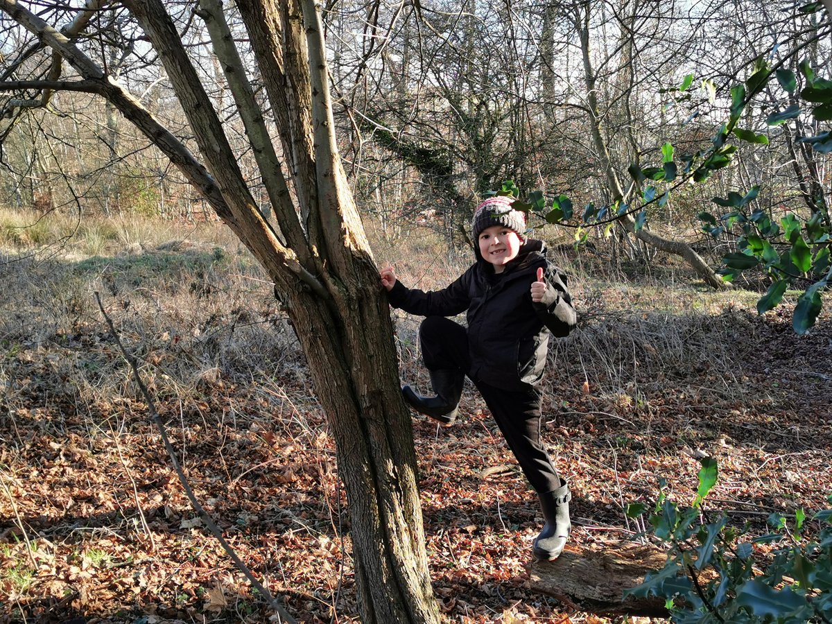 Leuchars Primary School and Nursery tweet media