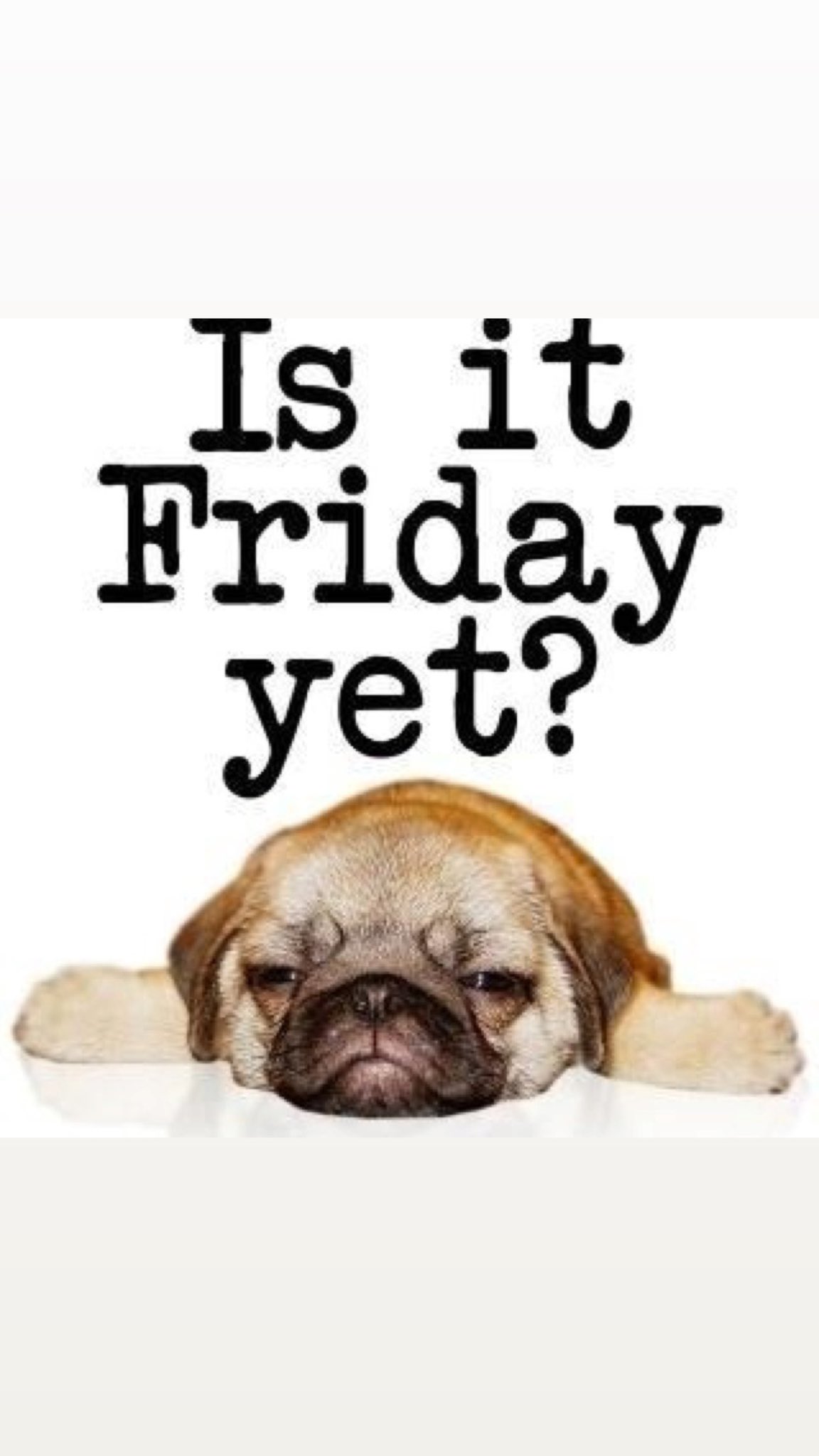 Is It Friday Yet Funny