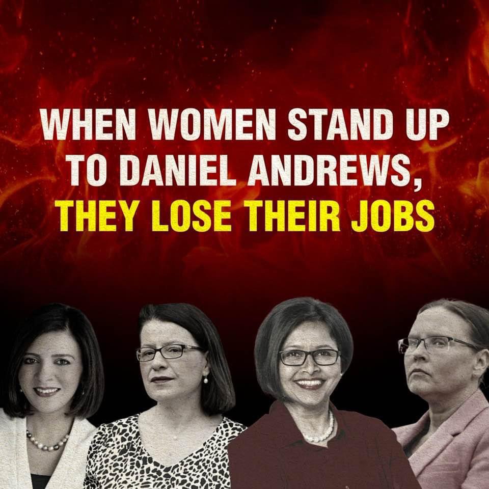 James Newbury MP tweet media