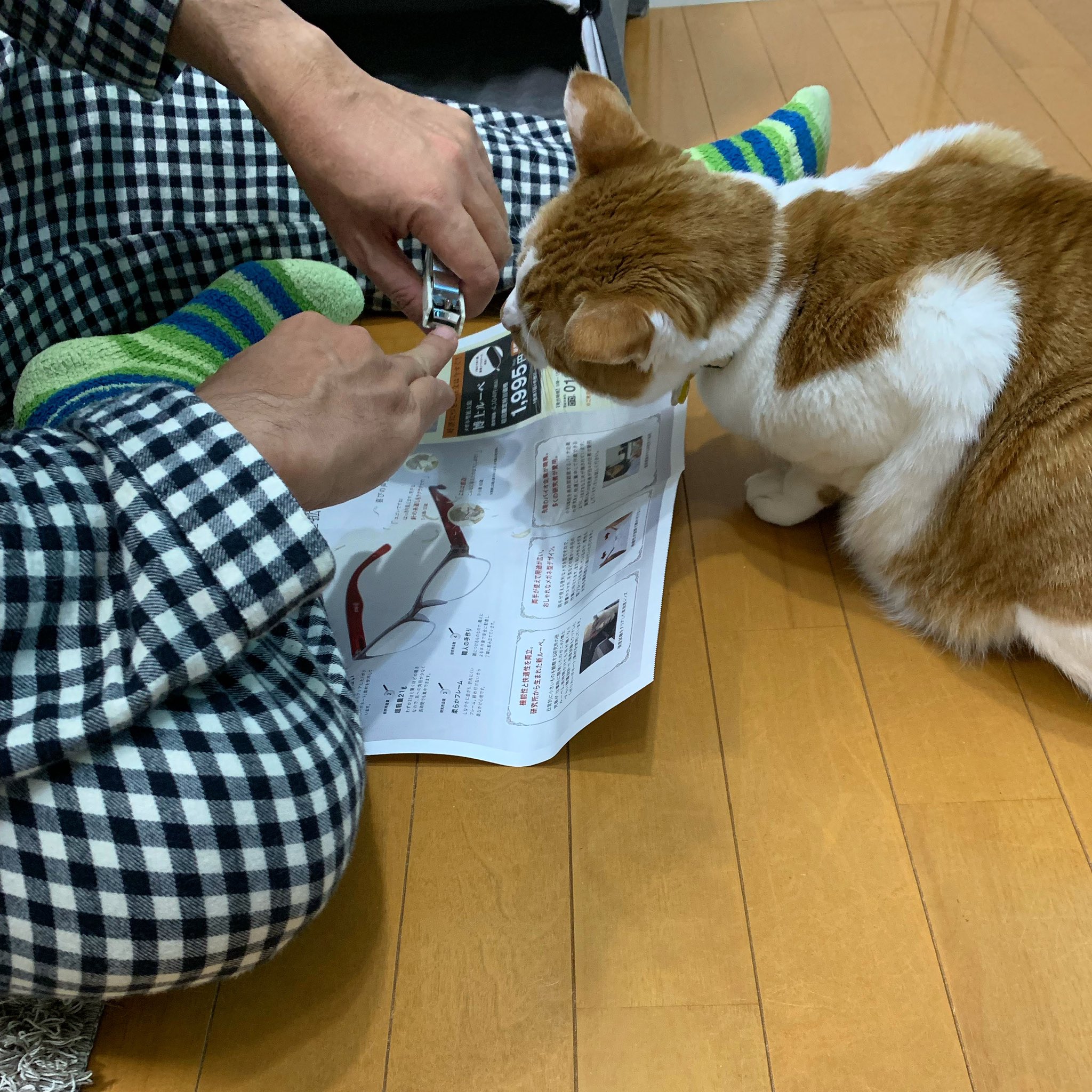 Kaori Snet Kaori Snet Twitter
