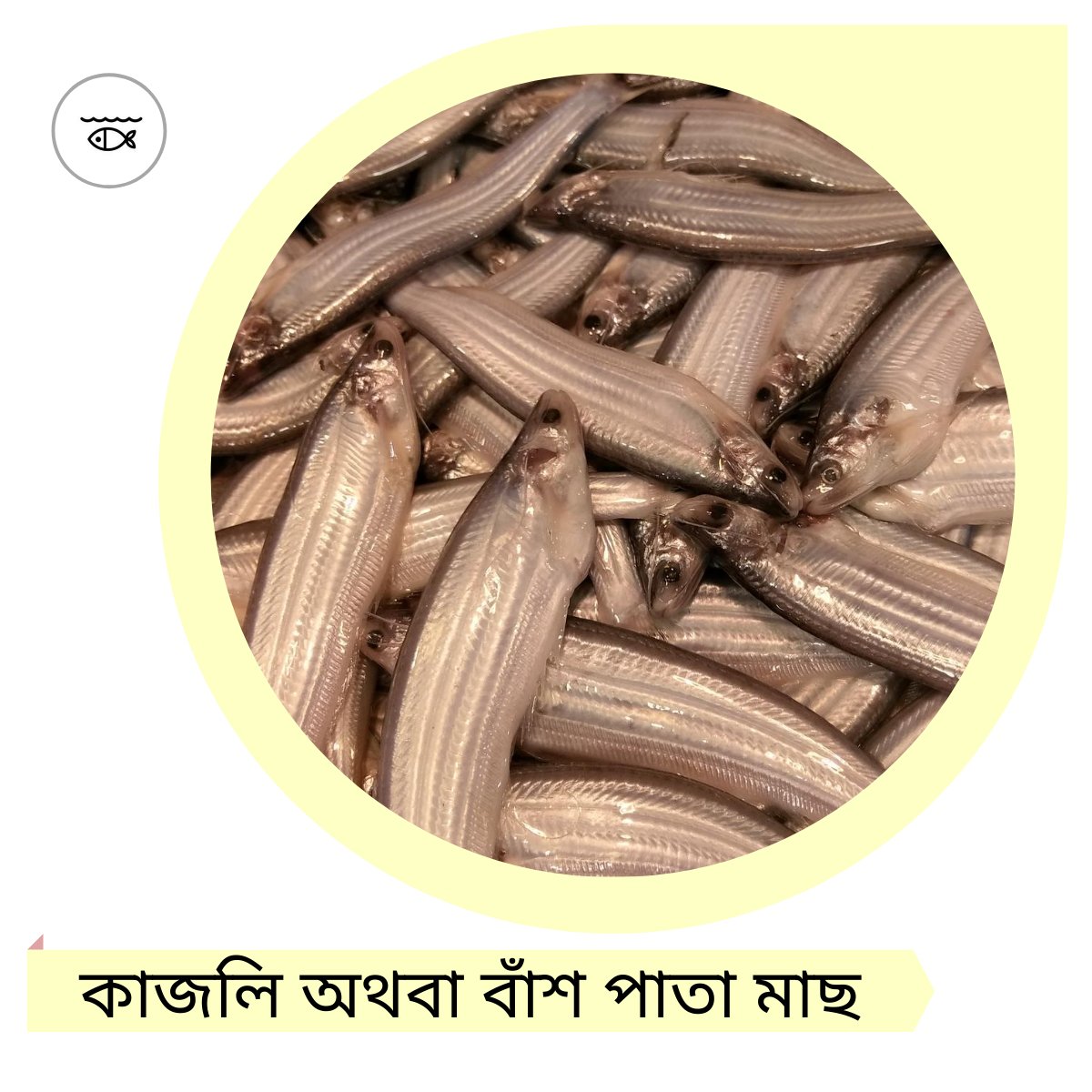 BdPukur's tweet photo. https://t.co/2x7zbThl7O
