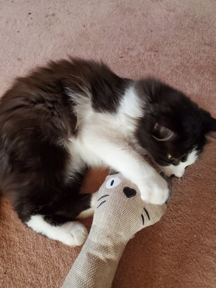 マンボウ@ラグオリ (@wizmanbou) | Twitter