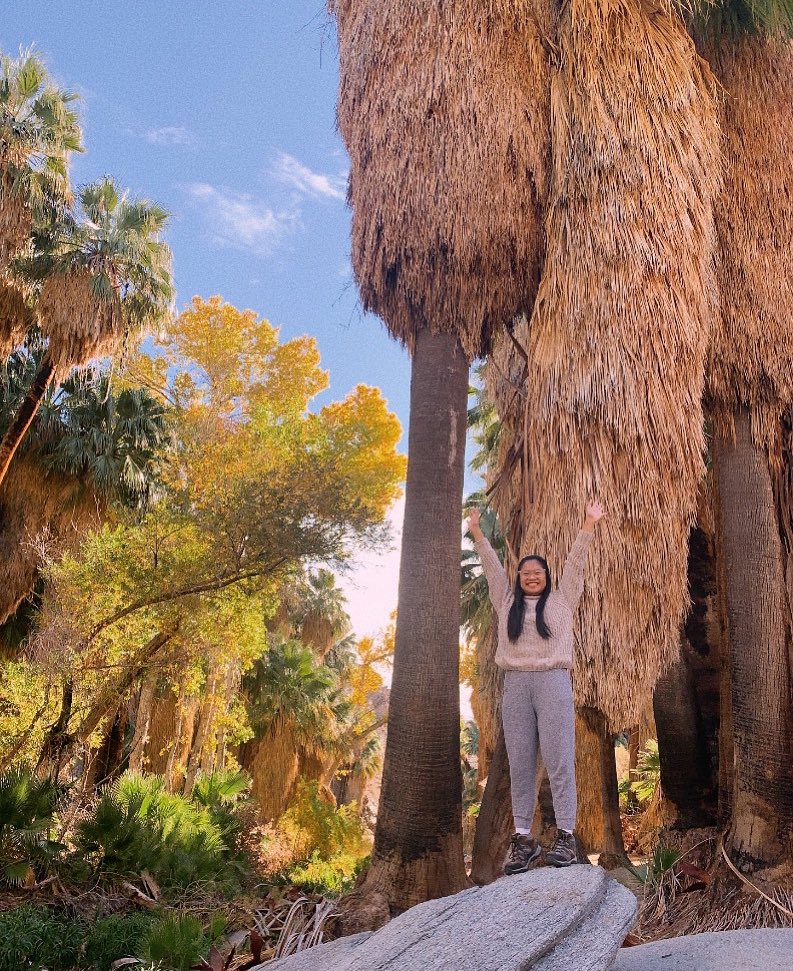 “I am the Lorax. I speak for the trees. I speak for the trees for the trees have no tongues.” 🌴