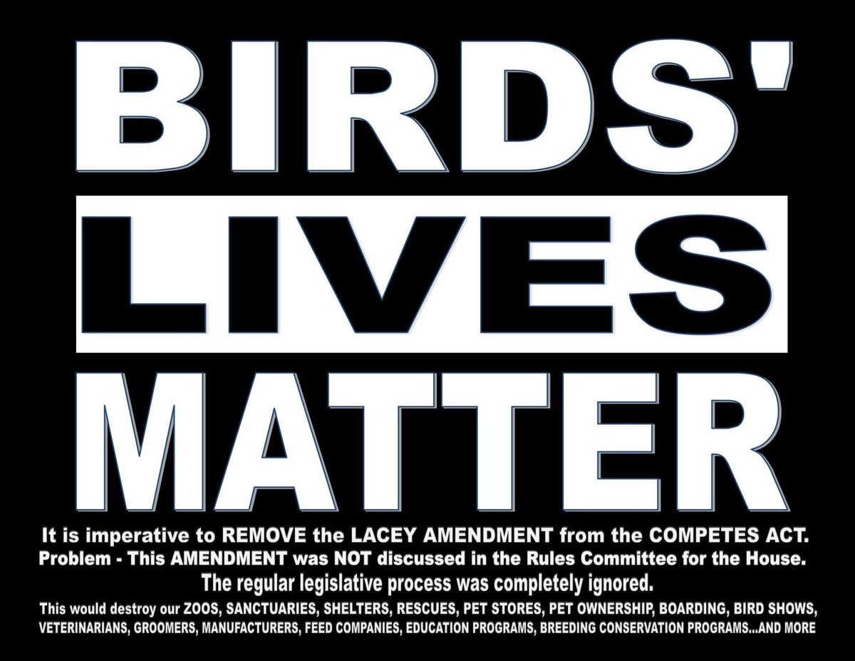 LotsOfParrotlet's tweet photo. via AFA
Call or write to your senators. Your senator's office info is in this link: https://t.co/2A5klhjaq7 https://t.co/zVFFVo3xBa
