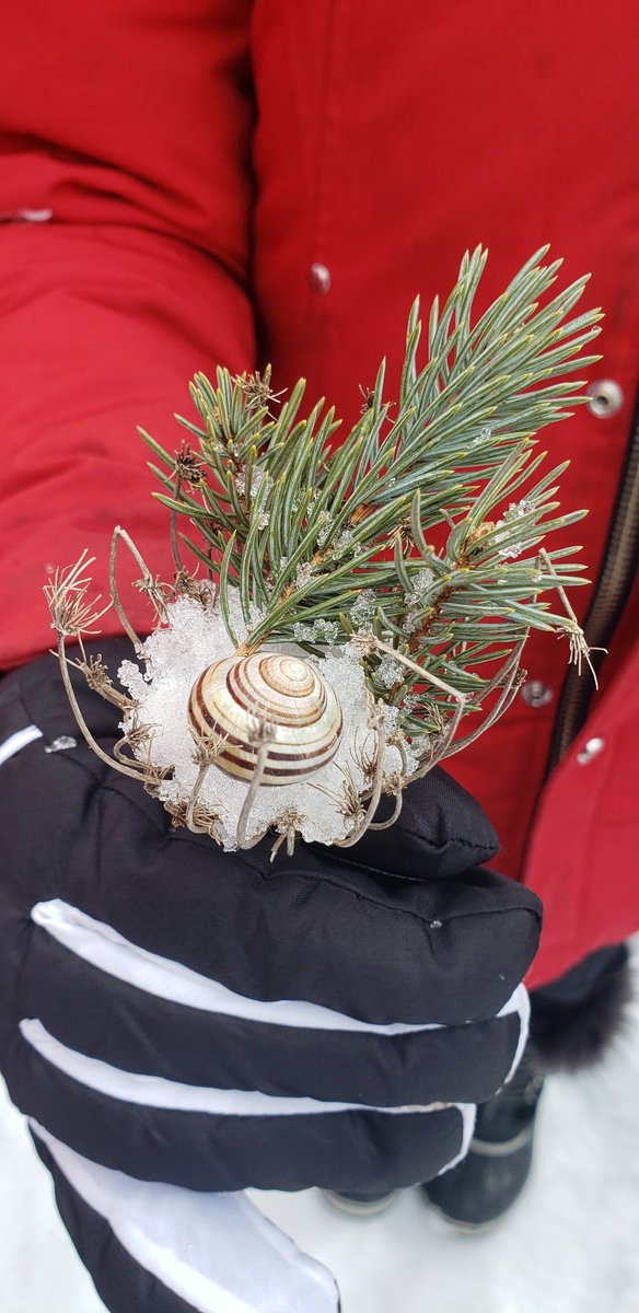 Ephemeral art, winter edition.