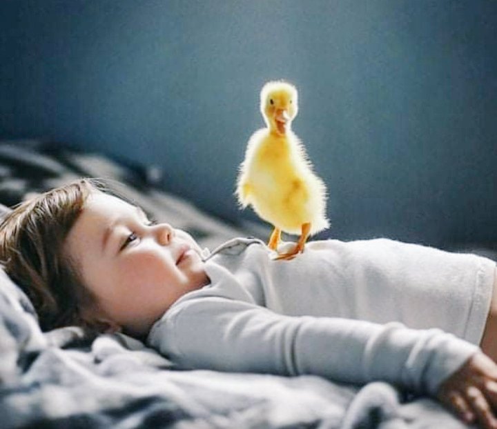 s_msonia's tweet photo. __"Amo las cosas buenas,las buenas historias que dicen algo;me gusta todo lo que hace palpitar mi corazón ...es bueno tener la piel 
de gallina porque significa que estás viviendo". 
 ~ José Saramago✒

#BuenosDias 
#BuenosDiasMundo 
#FelizViernesATodos https://t.co/eYS5GhZZgI