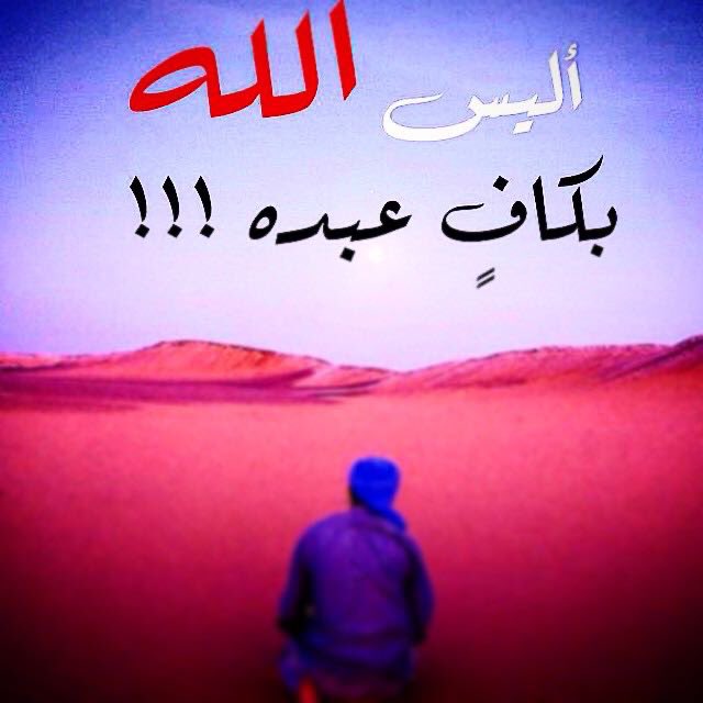 Amrali1122's tweet photo. https://t.co/CsZw4ejFOH