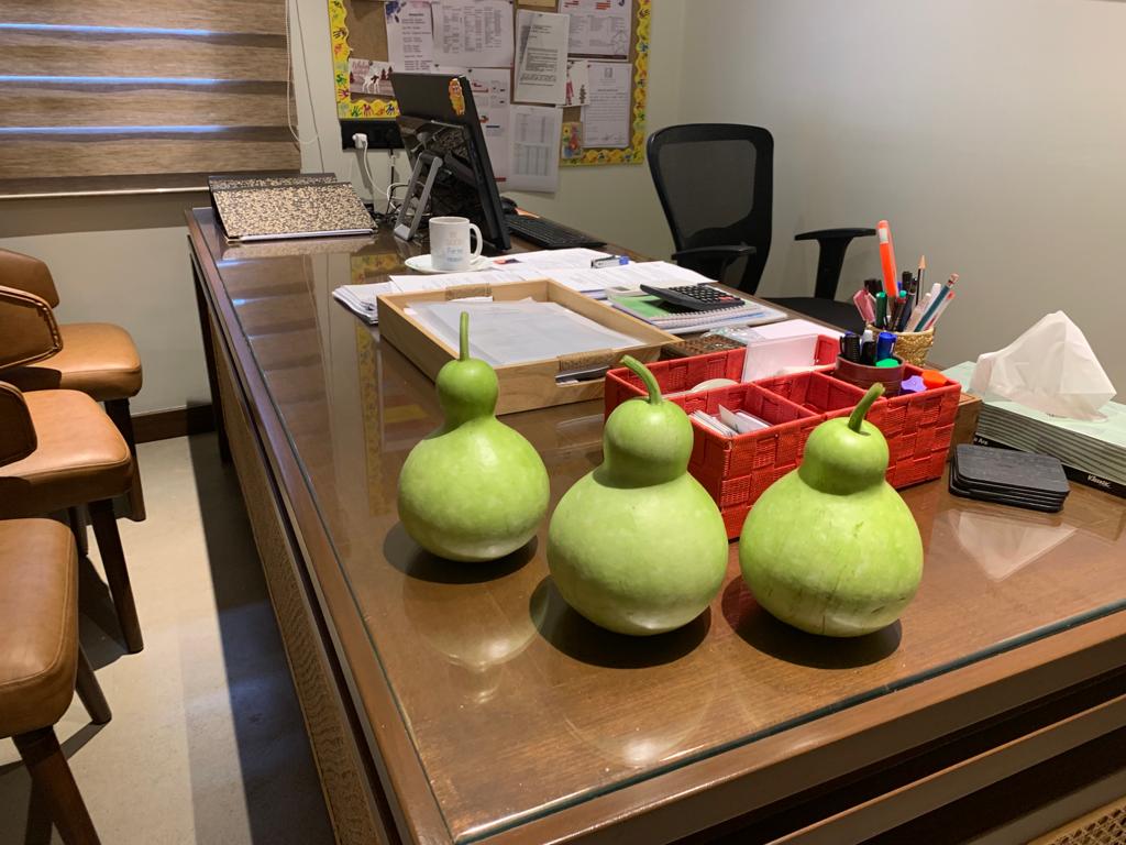 Fruits of labour. Seeds sown by our Ss pre pandemic bore such beautiful fruits once they resumed physical school. Ss excitement is unmeasurable at the moment.  #sustainablefarming #inquirymindset #experiential #international #villagelife #IBmyp