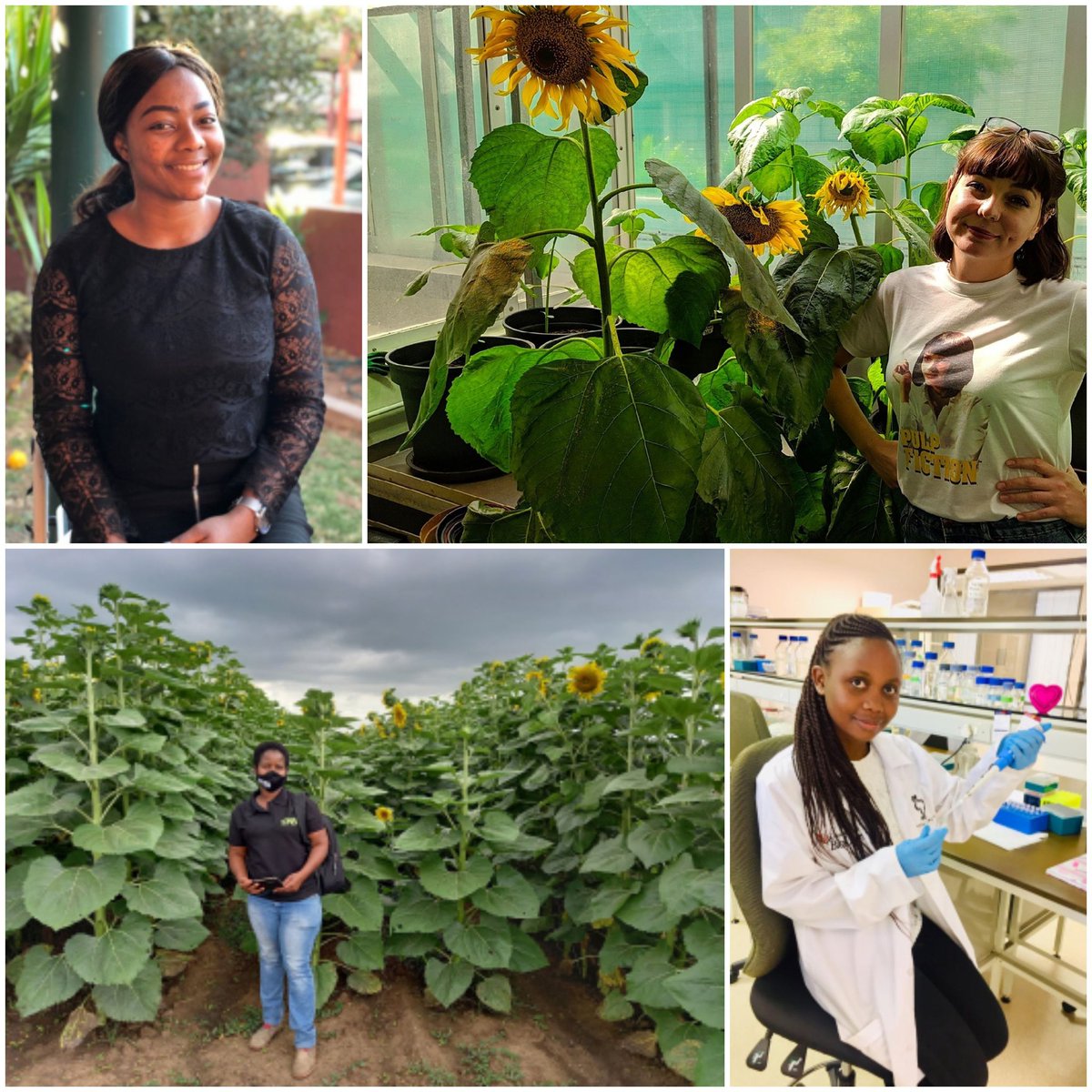 NickyCreux's tweet image. Apparently today is the international day of women and girls in science. To celebrate here are the awesome women helping to drive our teams research! @Fabiteam1 @UPnasagric @UPPlantAndSoil @ResearchUP
