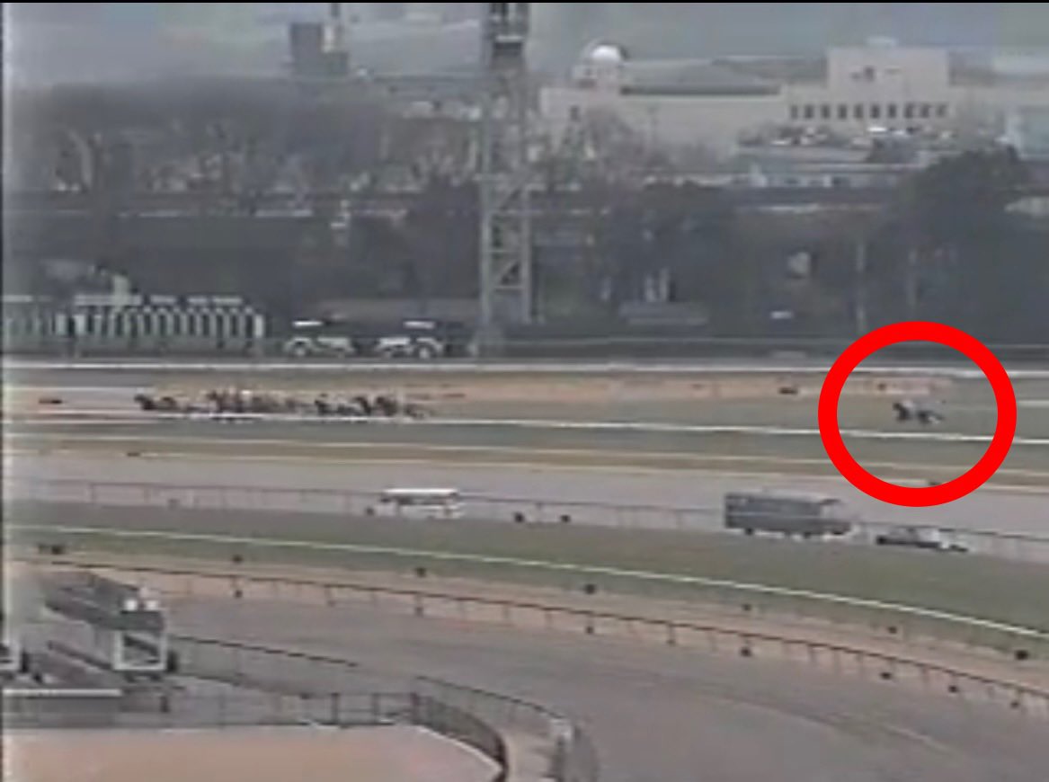 ラガーレグルス Twitter Search Twitter