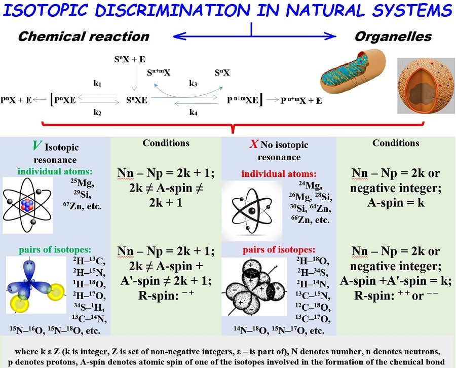 Possible Mechanisms of Biological Effects Observed in Living Systems during 2H/1H Isotope Fractionation and Deuterium Interactions with Other Biogenic Isotopes mdpi.com/1420-3049/24/2…