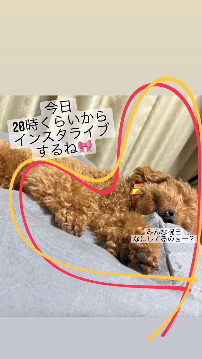 xhallje's tweet photo. 今日の夜インスタライブするね🙌✨
ちょっと遊びに来てぇ^ ^

https://t.co/4EdOyNkqT0 https://t.co/1nM9WJjox0