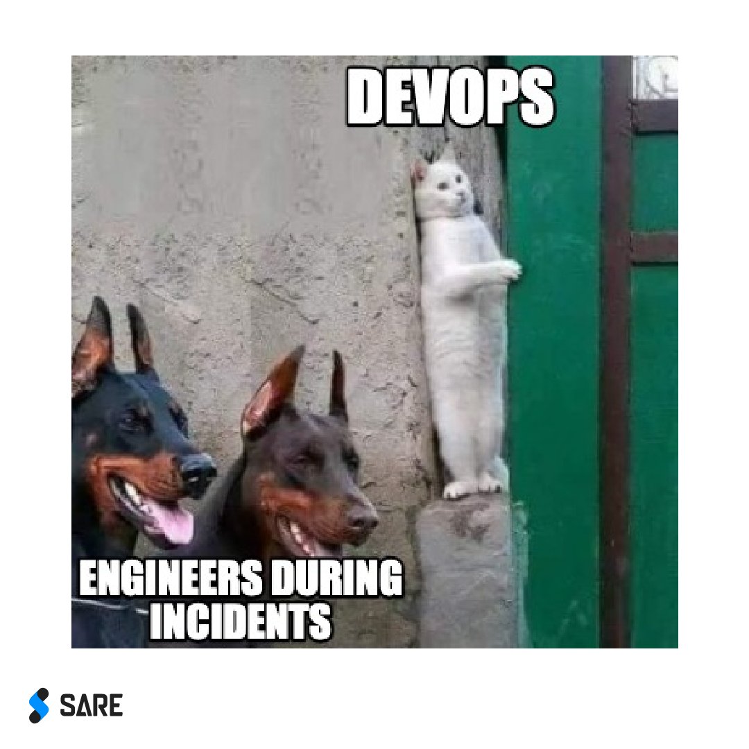 SareTeam_'s tweet photo. Caption this 👇😂

#DevOps #engineer #Codinglife #Developer #operation https://t.co/KATxhsliaU