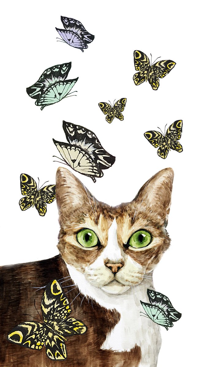 artist N : 아티스트N tweet media