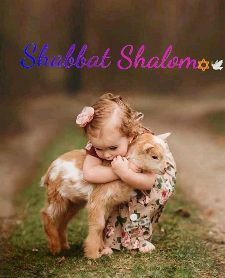 🌼Andrea אהבה (Love)🌼 on X: 🌿🌼 Shabbat #Shalom