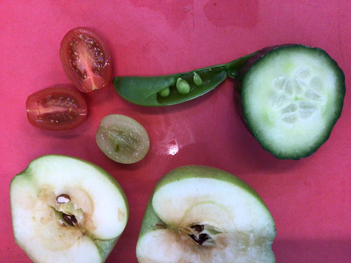 HollyfieldPri's tweet photo. 1WN are enjoying finding out about what is a fruit and what is a vegetable. Do you know how to tell the difference?#smoothiemaking https://t.co/GJcZqFN1nr
