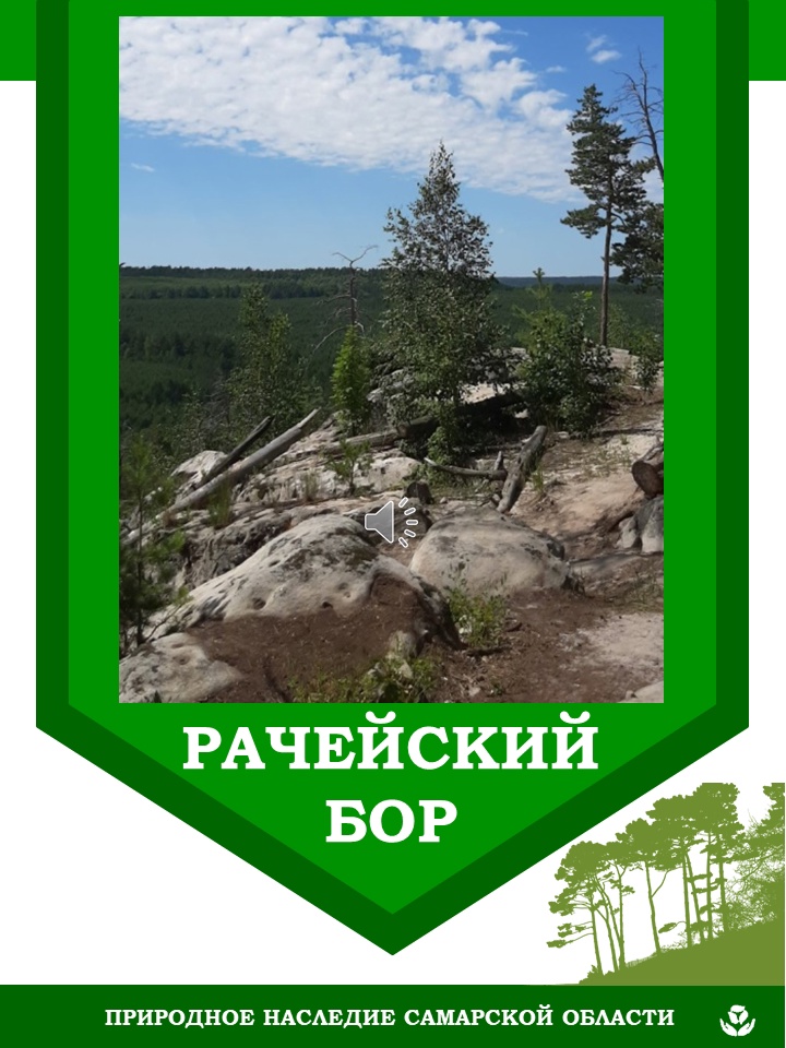 Волонтеры 10В кл. лицея "Технический", в рамках волонтёрской акции «Это должен знать каждый», подготовил  презентацию  «Рачейский бор» и показали  ее младшим лицеистам на экологических пятиминутках, посвященных природному наследию Самарской области.<a href="/depsamobr63/">Департамент образования Администрации г.о. Самара</a>