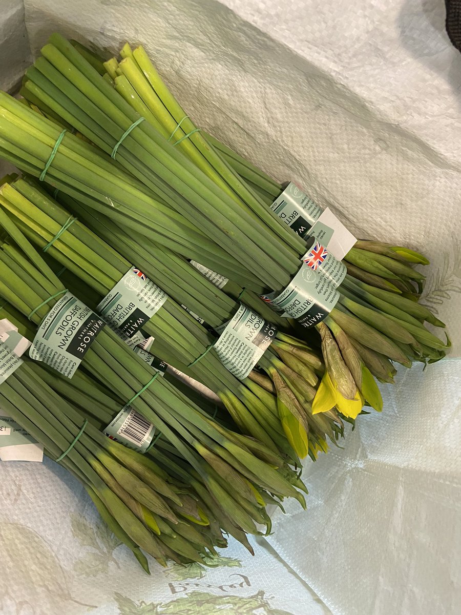 lodgeparkacad's tweet photo. WHO is the phantom daffodil giver @lodgeparkacad today? Some wonderful person has treated us all with a bunch of daffs! And Max and Riley are the delivery men - and absolutely loving their job! #SpreadingJoy #LPAlove #LPAspirit https://t.co/uovS7dyriH