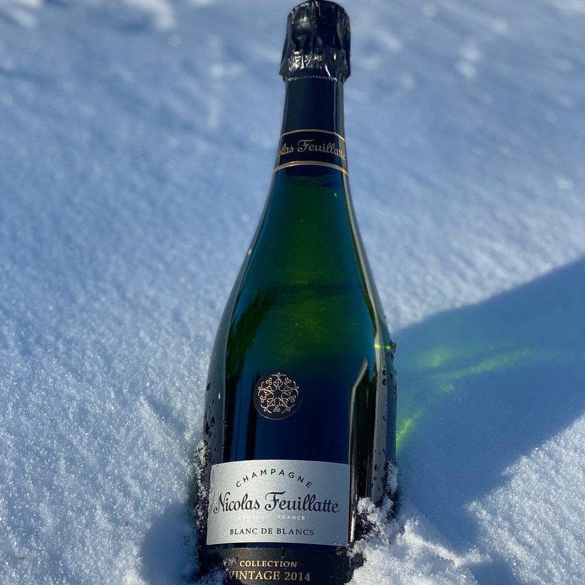 Petra HeidekenWågert tweet media